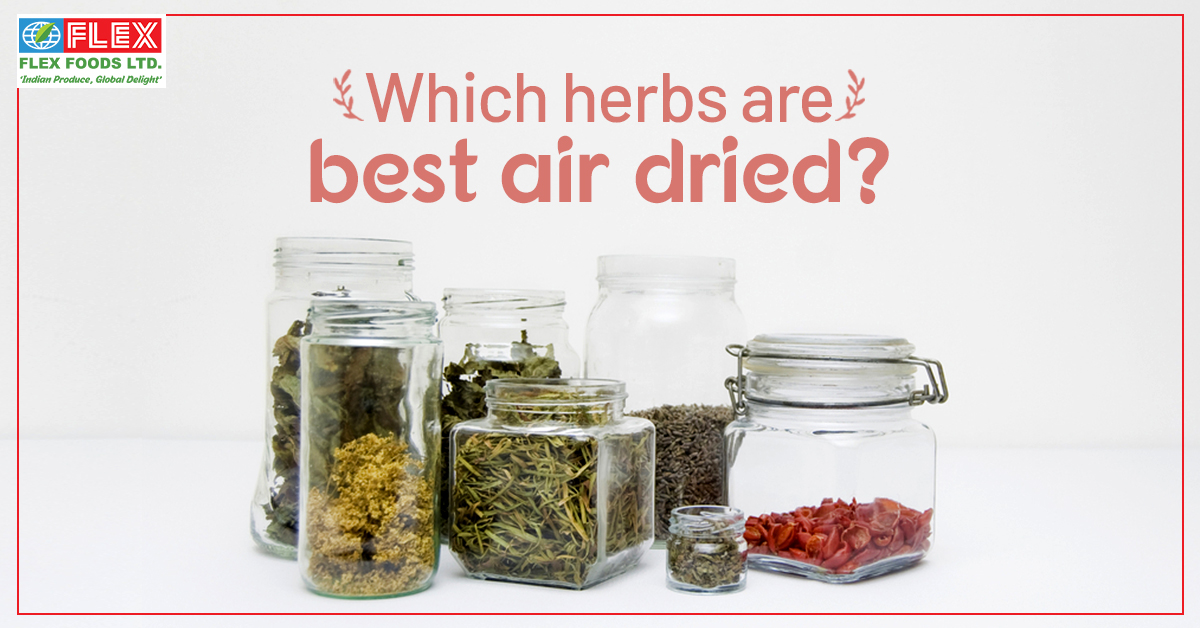 Which Herbs Are Best Air-Dried?