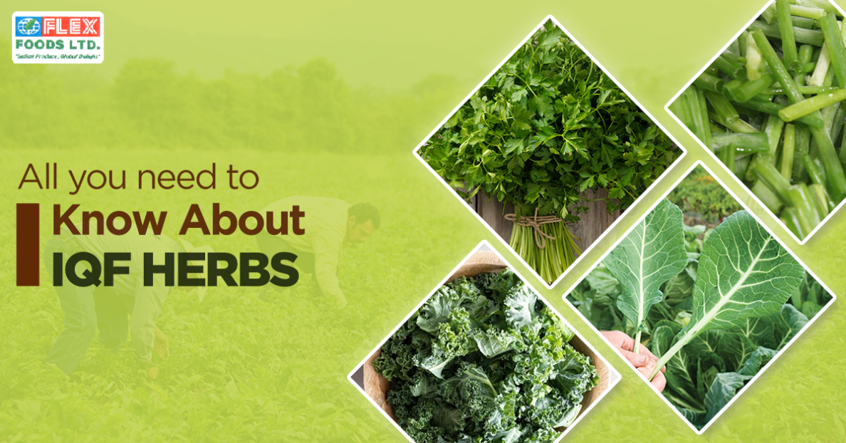 All you need to know about IQF herbs