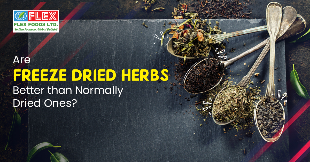 Are Freeze-Dried Herbs Better than Normally Dried Ones?