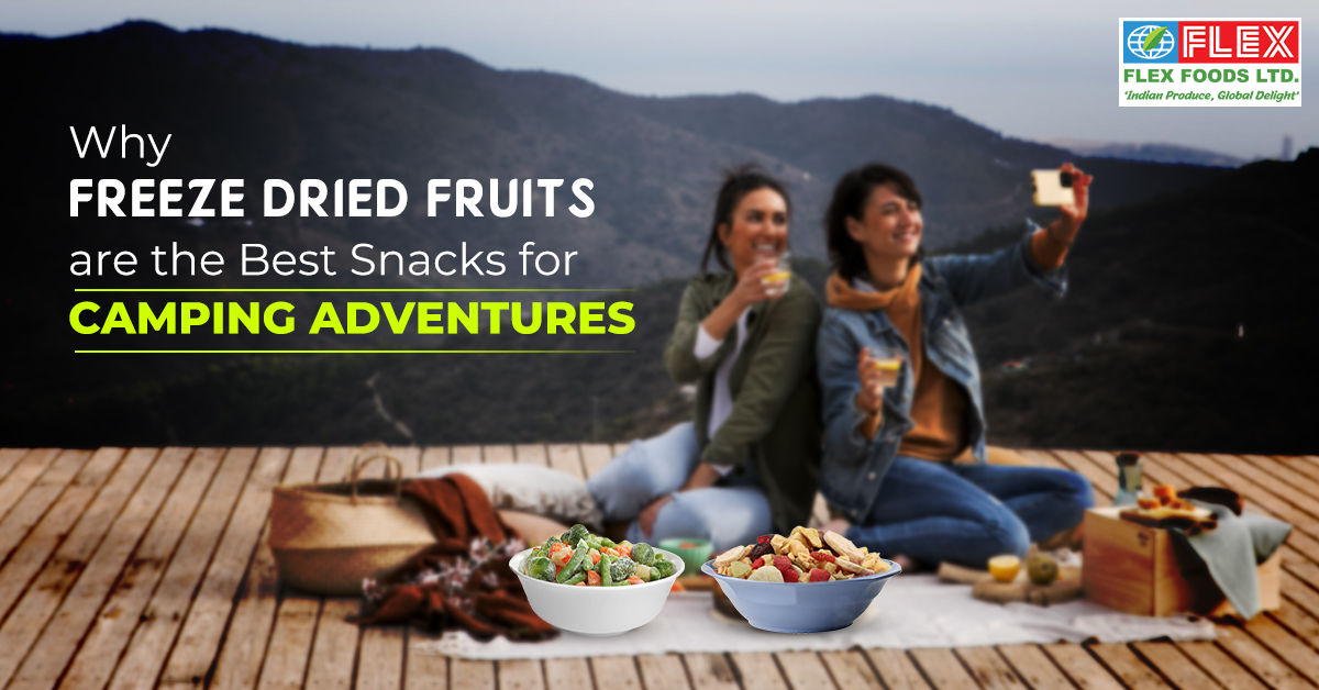 Why freeze dried fruits are the best snacks for camping adventures?