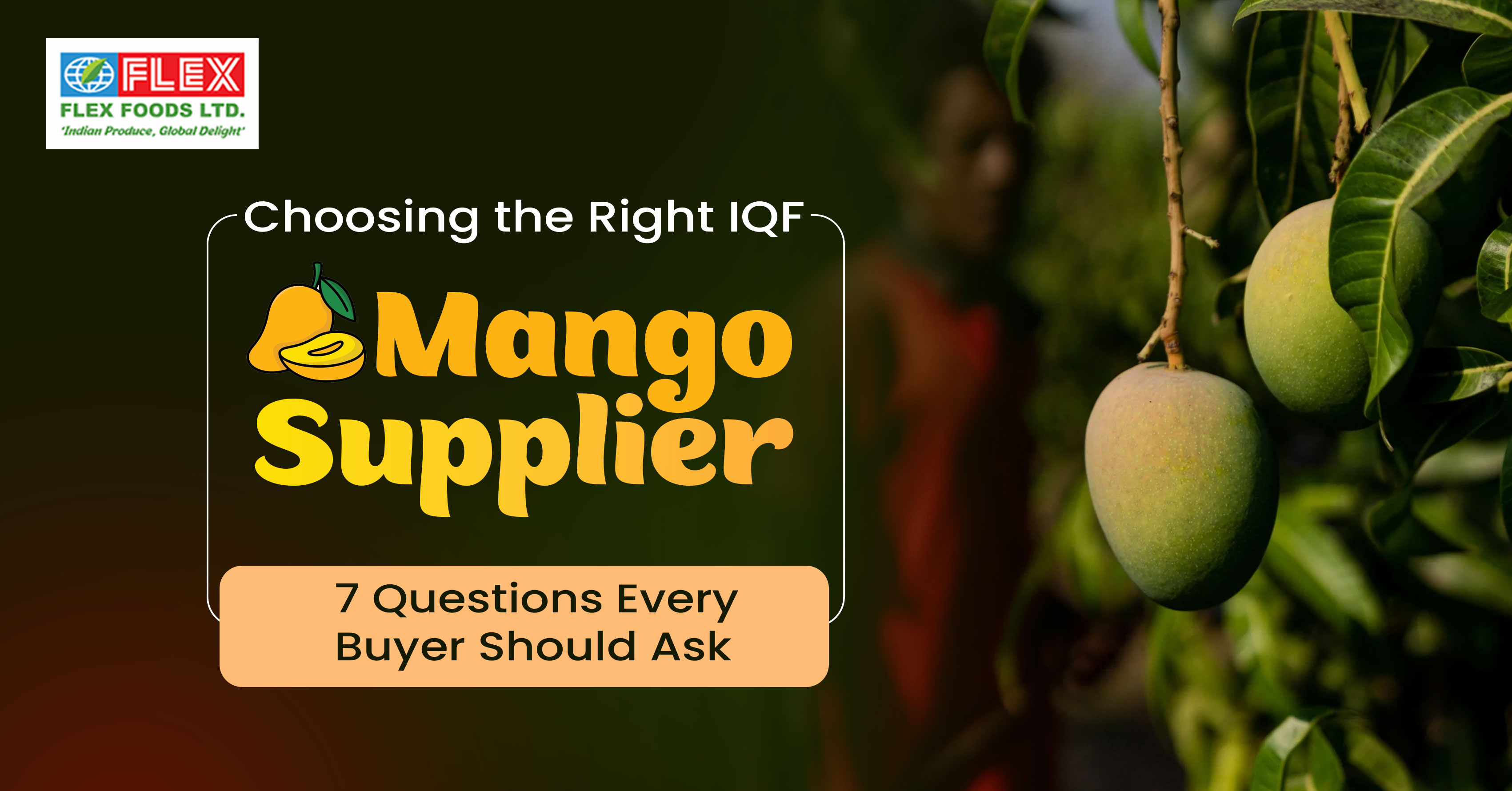 Choosing the Right IQF Mango Supplier: 7 Questions Every Buyer Should Ask