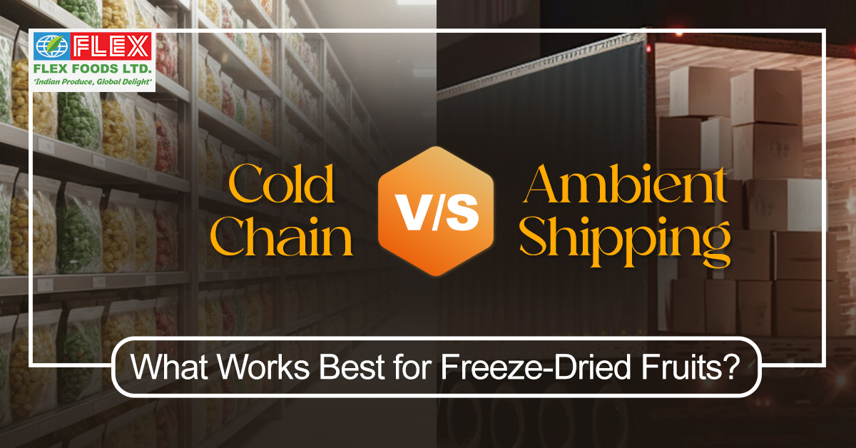 Cold Chain vs Ambient Shipping: What Works Best for Freeze-Dried Fruits?