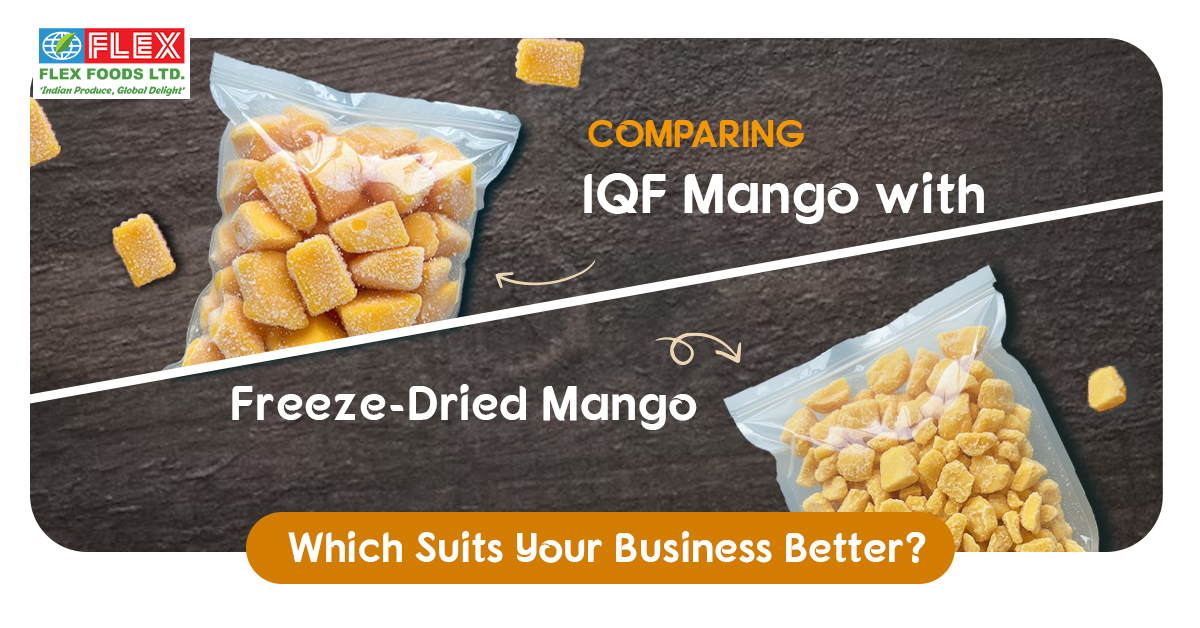 Comparing IQF Mango with Freeze-Dried Mango: Which Suits Your Business Better?