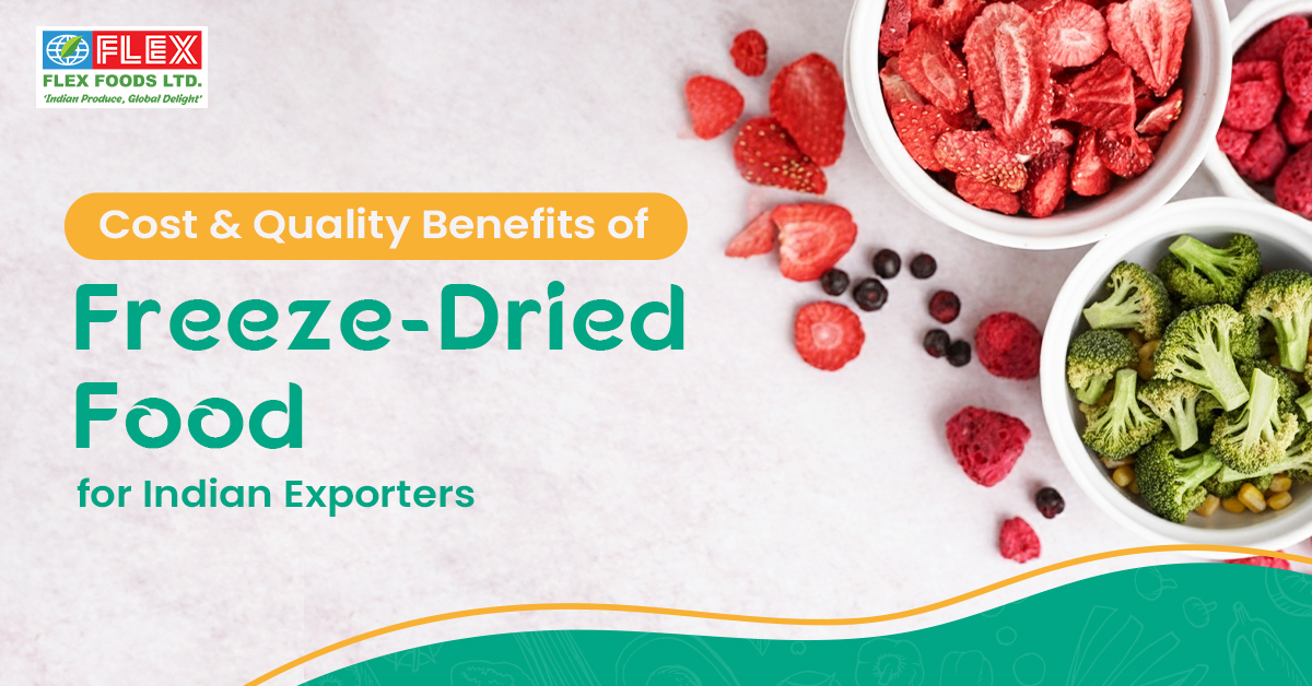 Cost and Quality Benefits of Freeze-Dried Food for Indian Exporters