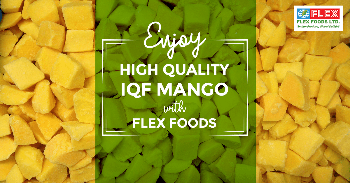 Enjoy High-Quality IQF Mango With Flex Foods