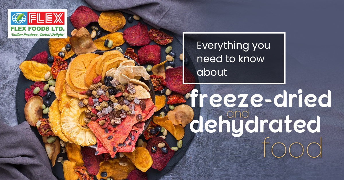 Everything You Need to Know About Freeze Dried and Dehydrated Food