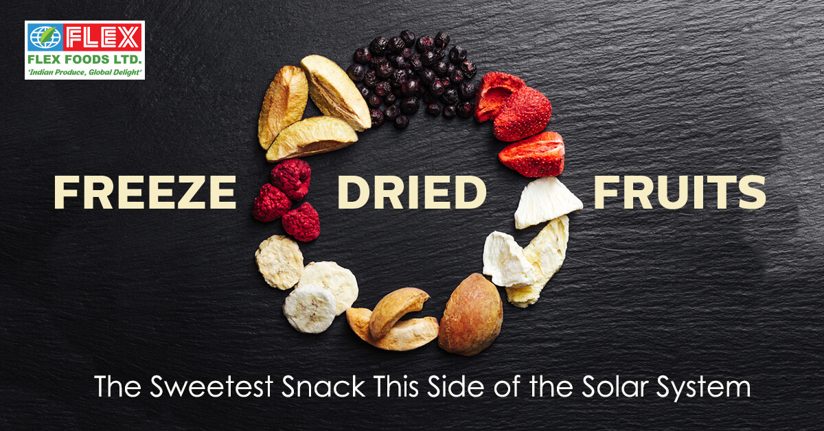 freeze-dried-fruits-the-sweetest-snack-this-side-of-the-solar-system