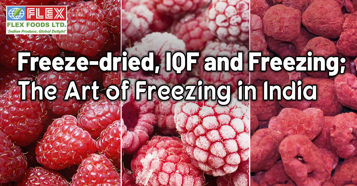 freeze-dried-iqf-and-freezing-the-art-of-freezing-in-india.jpg