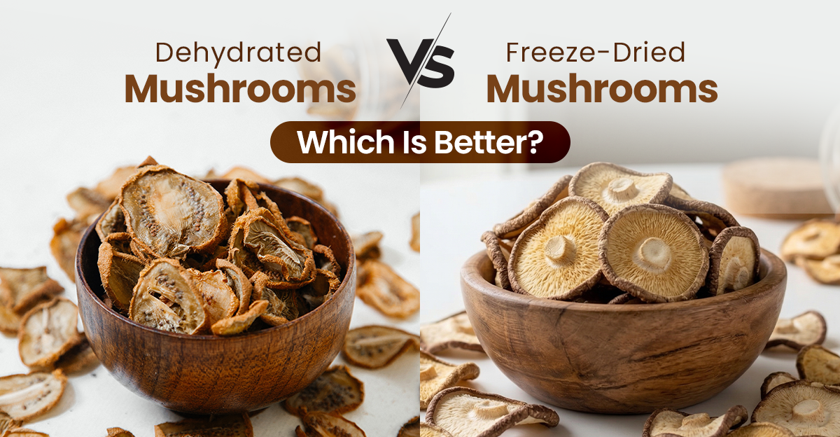 Freeze-Dried Mushrooms vs Dehydrated: Which Is Better?