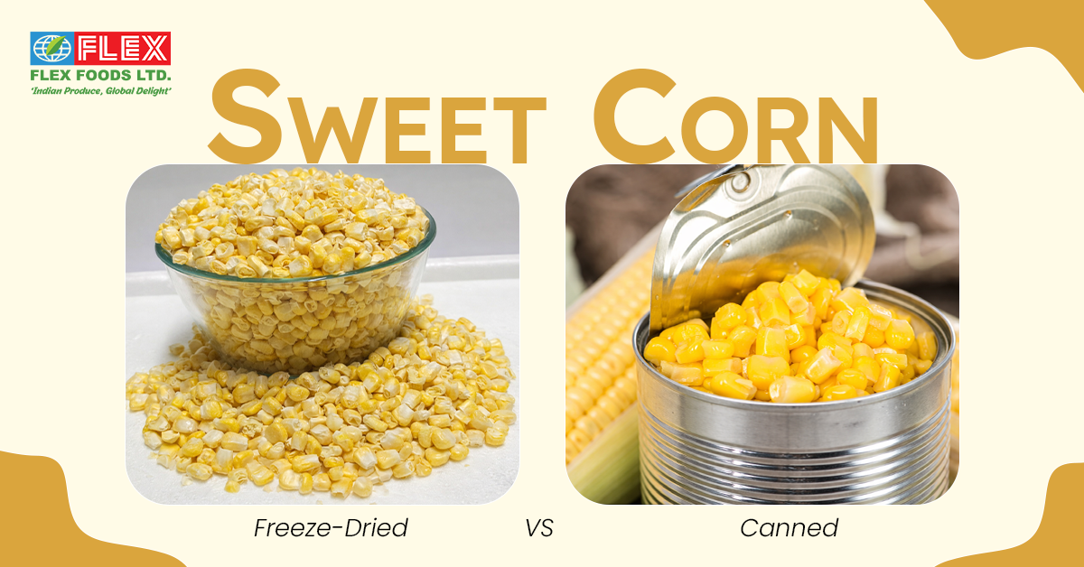 Freeze-Dried vs Canned Sweet Corn: Which Is Better for Nutrition, Shelf Life & Convenience?
