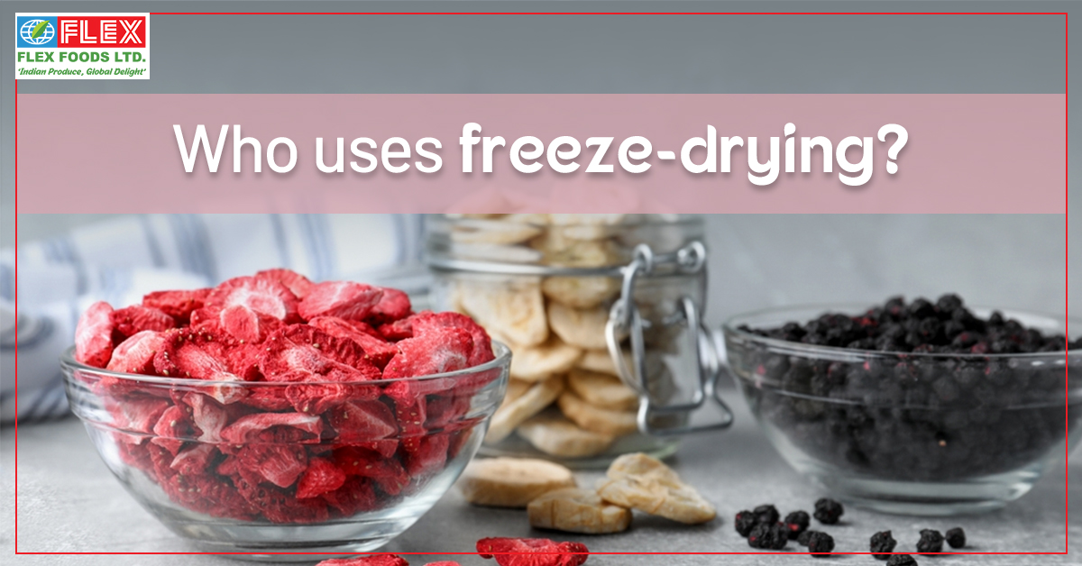 Who uses freeze-drying?