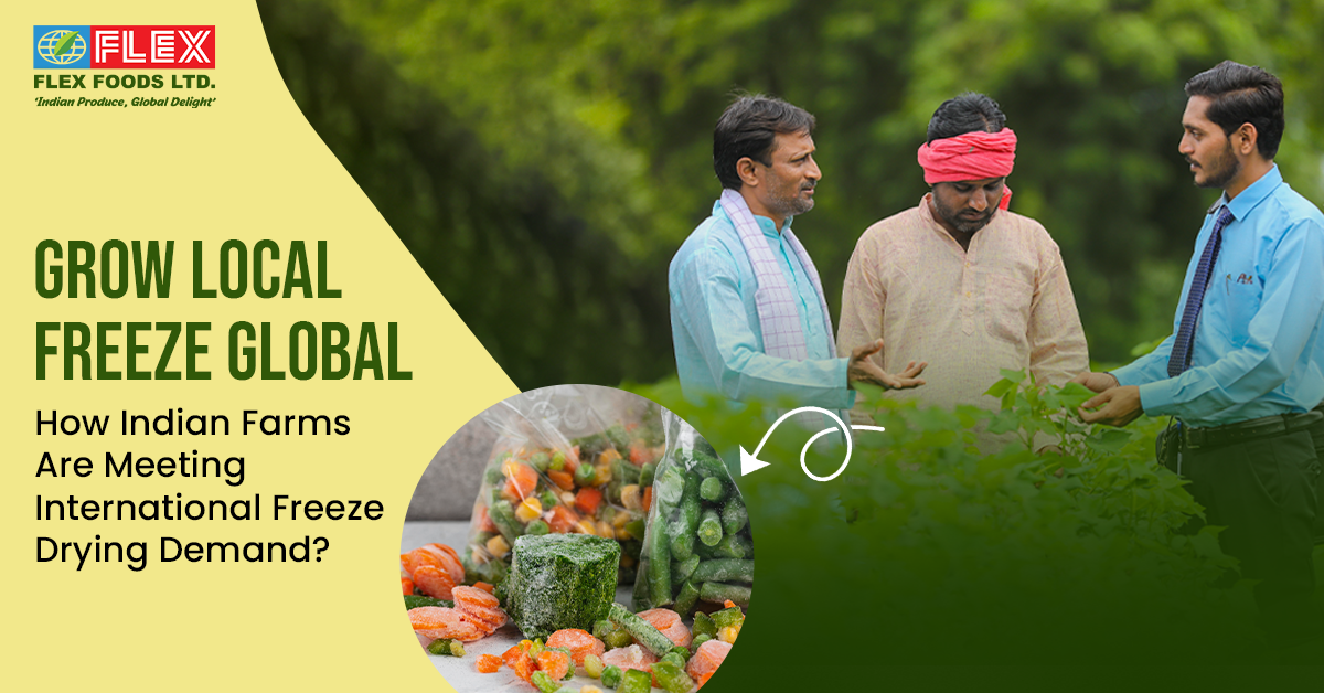 Grow Local, Freeze Global: How Indian Farms Are Meeting International Freeze-Drying Demand!