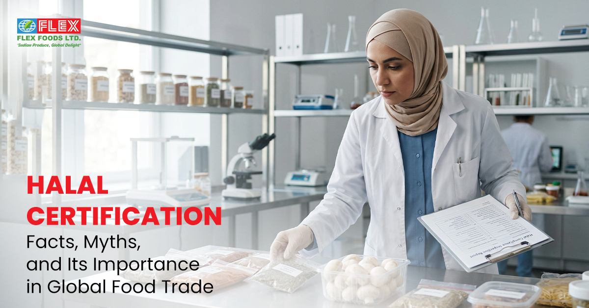 Halal Certification Explained: Facts, Myths, and Its Importance in Global Food Trade
