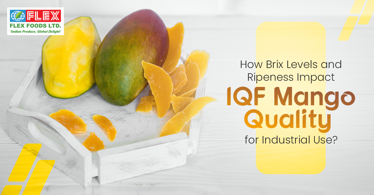 How Brix Levels and Ripeness Impact IQF Mango Quality for Industrial Use?