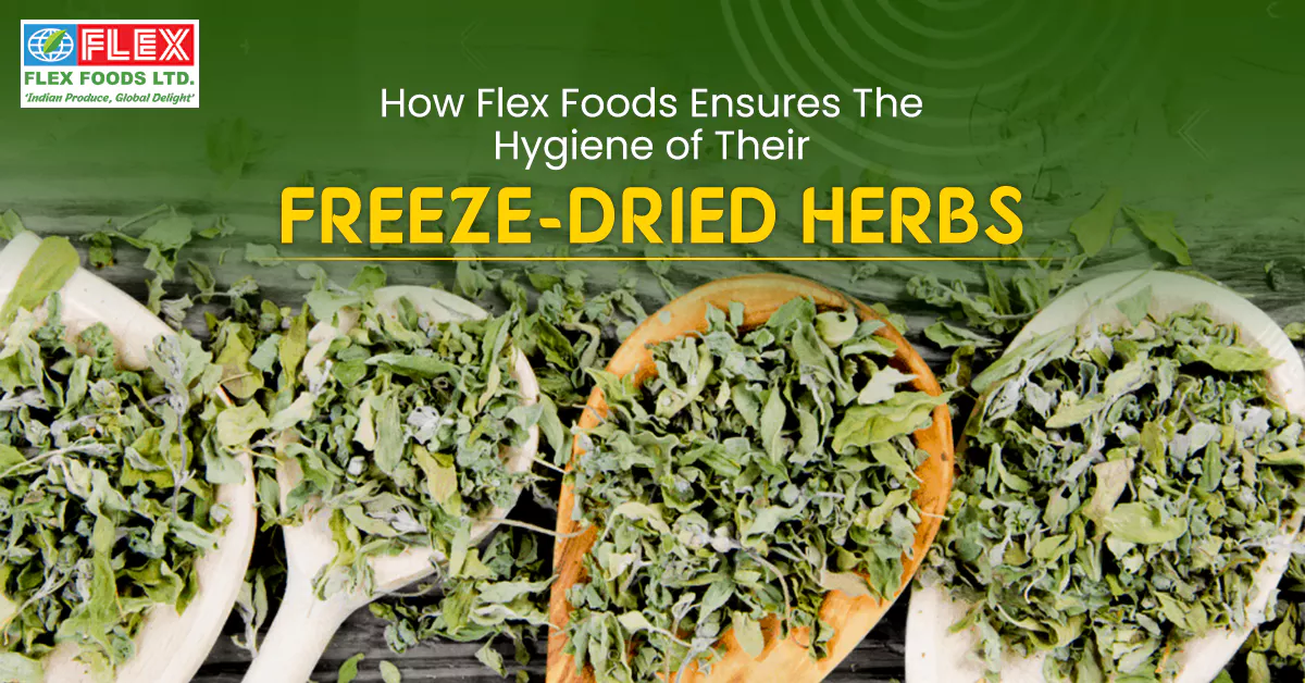 how-flex-foods-ensures-the-hygiene-of-their-freeze-dried-herbs