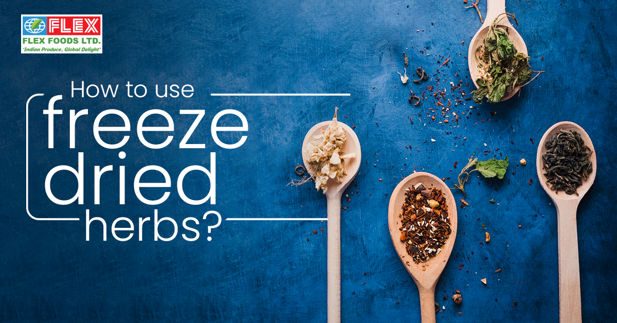 How to use freeze-dried herbs?