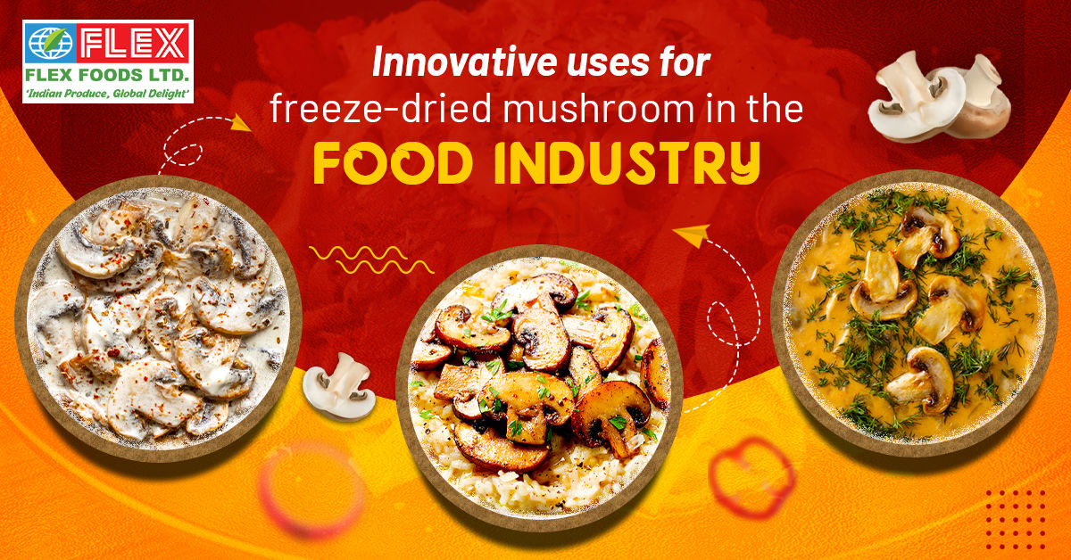 innovative-uses-for-freeze-dried-mushroom-in-the-food-industry