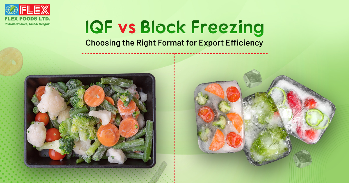 IQF vs Block Freezing: Choosing the Right Format for Export Efficiency