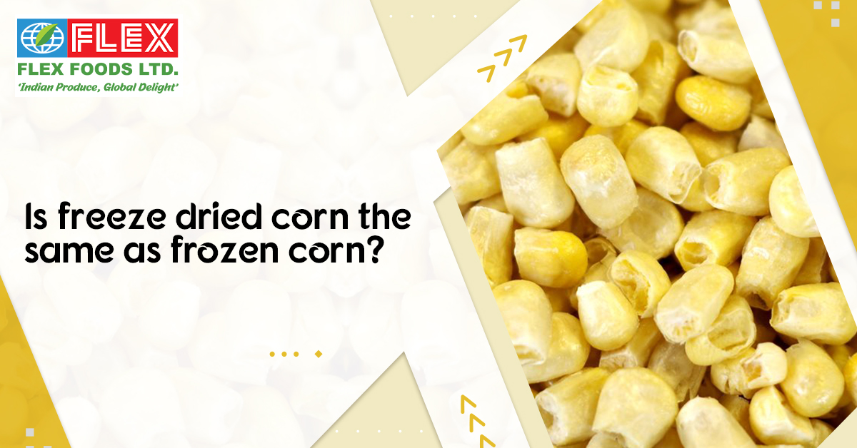 Is Freeze-Dried Corn The Same As Frozen Corn?