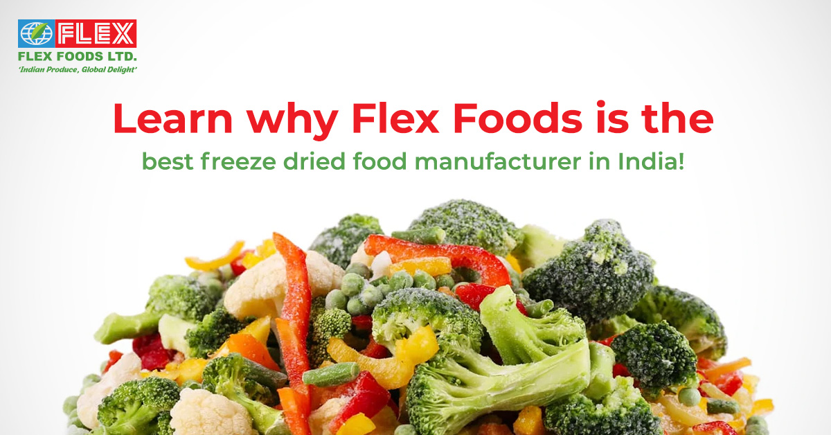 Learn Why Flex Foods Is the Best Freeze Dried Food Manufacturer in India