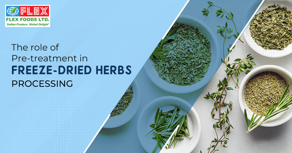 The role of pre-treatment in freeze-dried herbs processing