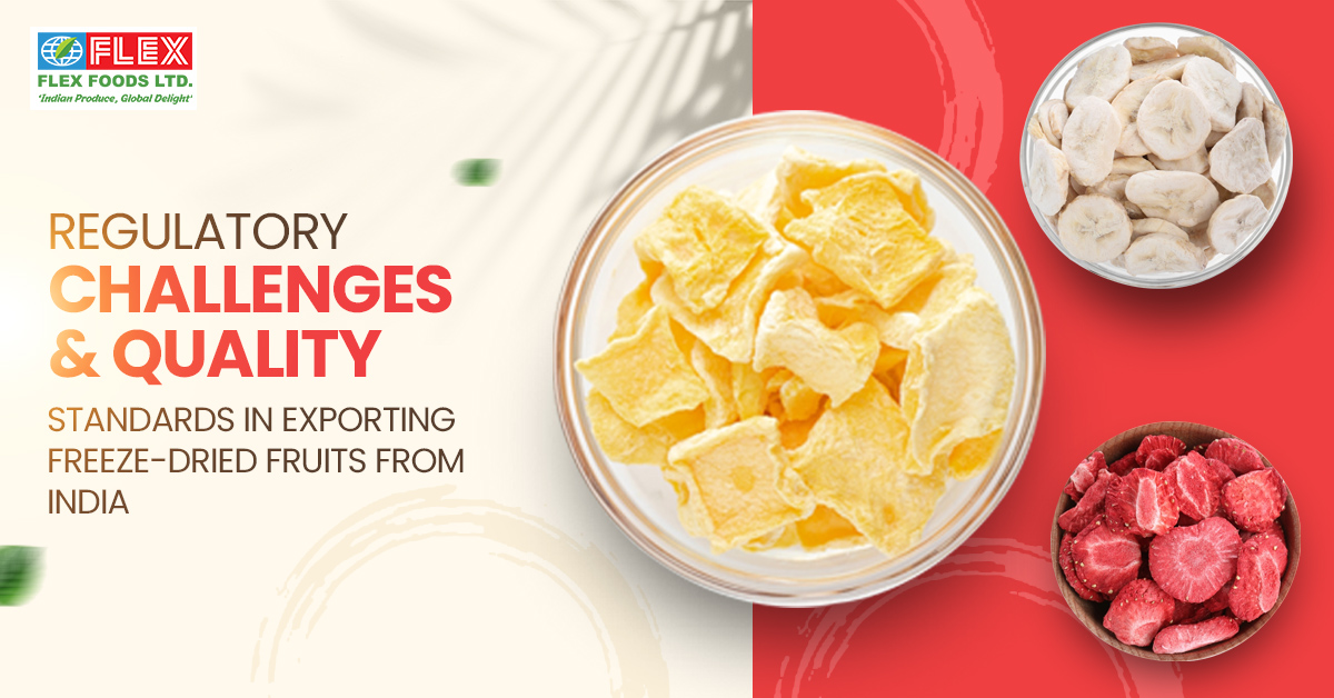 Regulatory Challenges and Quality Standards in Exporting Freeze-Dried Fruits from India