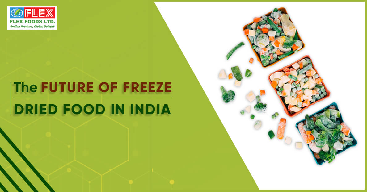 the-future-of-freeze-dried-food-in-india