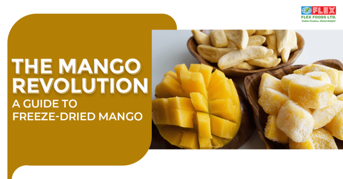 the-mango-revolution-a-guide-to-freeze-dried-mango