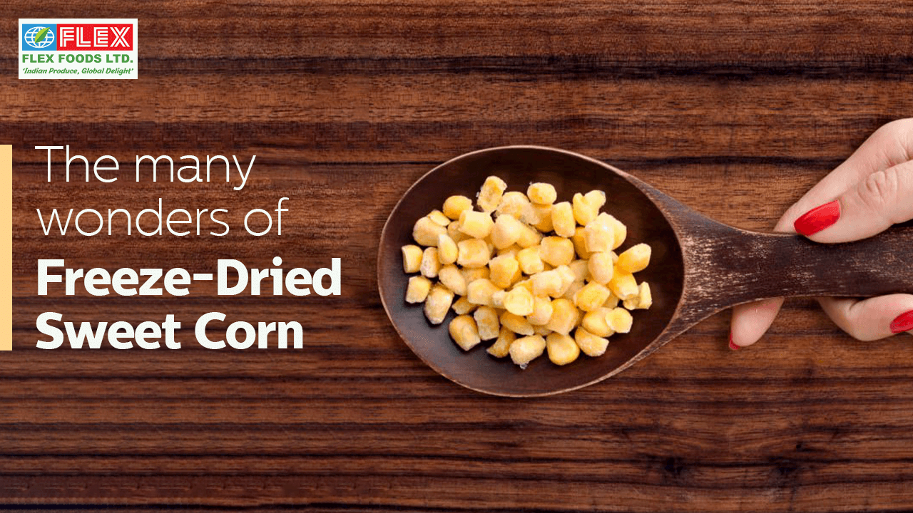 the-many-wonders-of-freeze-dried-sweet-corn