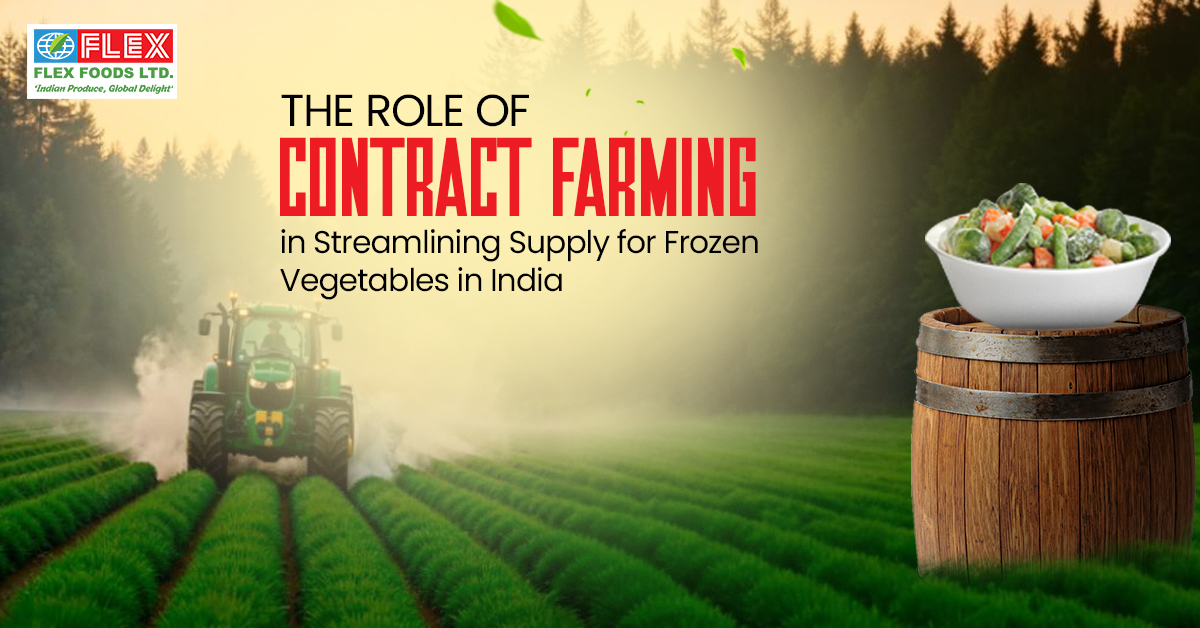 The Role of Contract Farming in Streamlining Supply for Frozen Vegetables in India