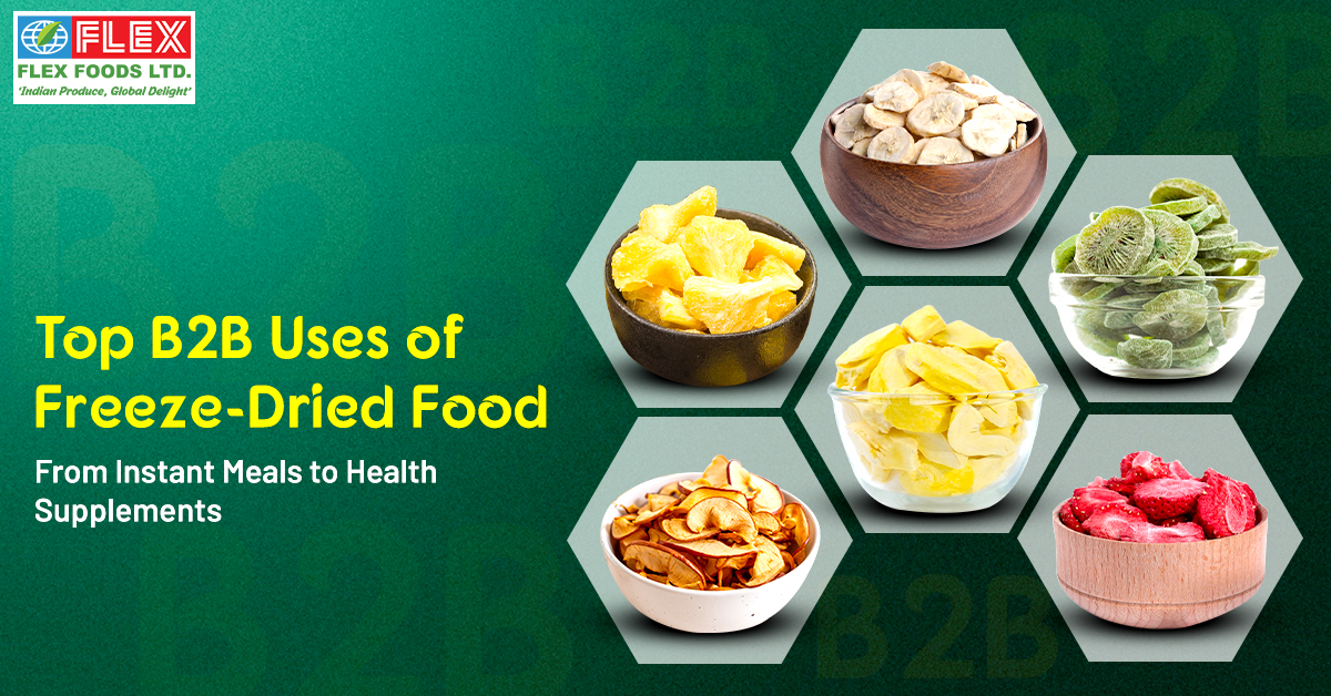Top B2B Uses of Freeze-Dried Food: From Instant Meals to Health Supplements