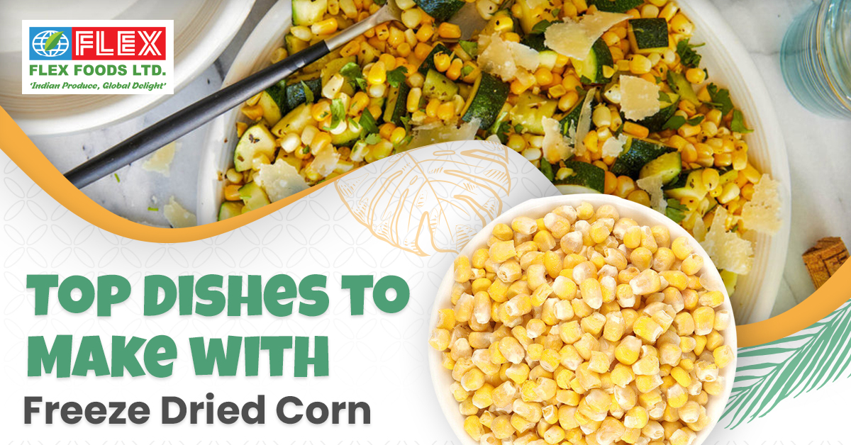 Top Dishes to Make with Freeze Dried Corn