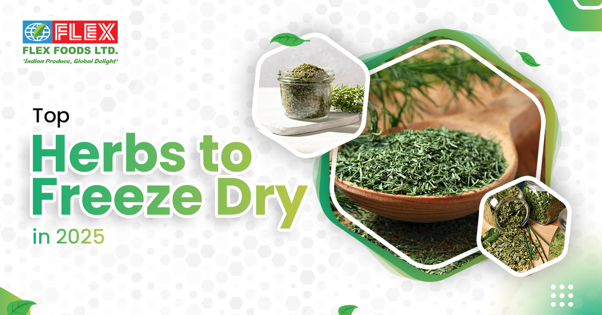 Top Herbs to Freeze Dry in 2025