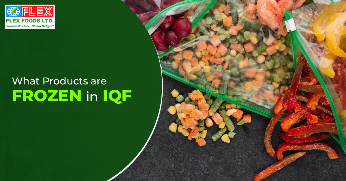 What products are frozen in IQF?
