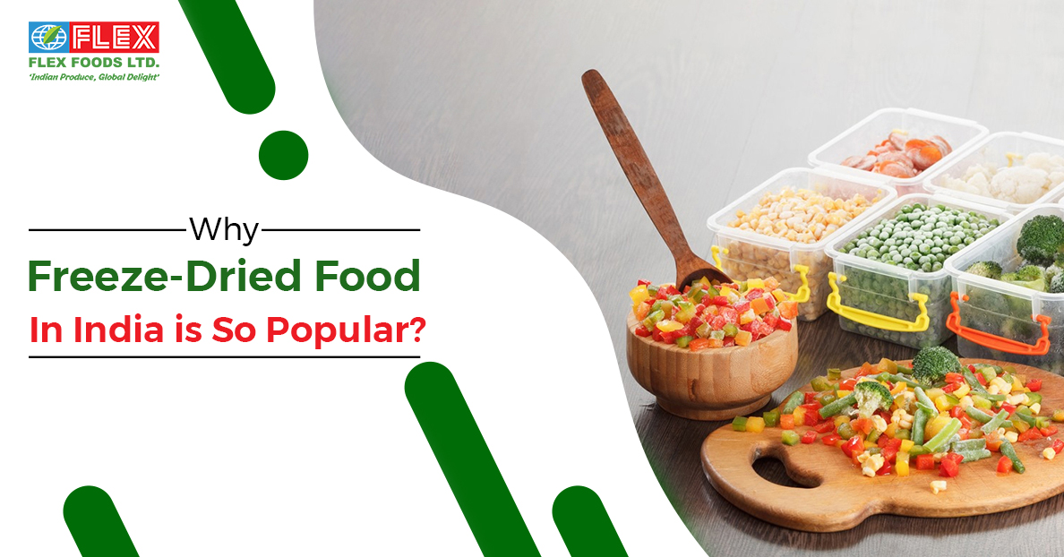 Learn Why Flex Foods Is the Best Freeze Dried Food Manufacturer in India