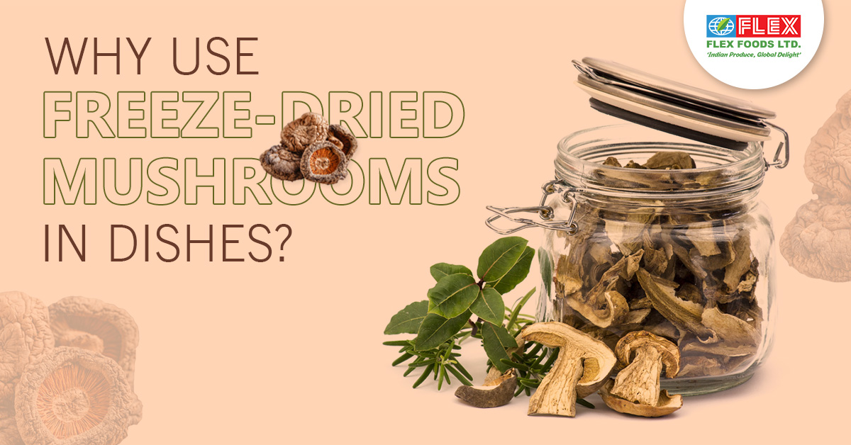 Why Use Freeze-Dried Mushrooms in Dishes?