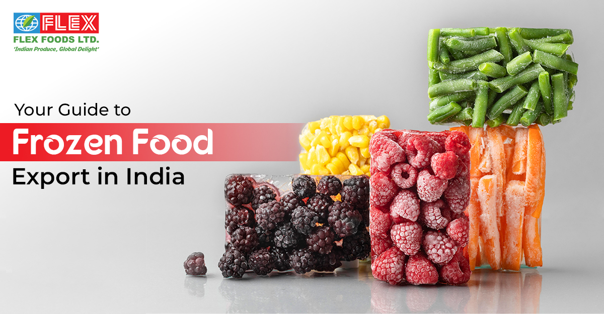 Your Guide to Frozen Food Export in India